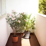 아파트 Nikolina *